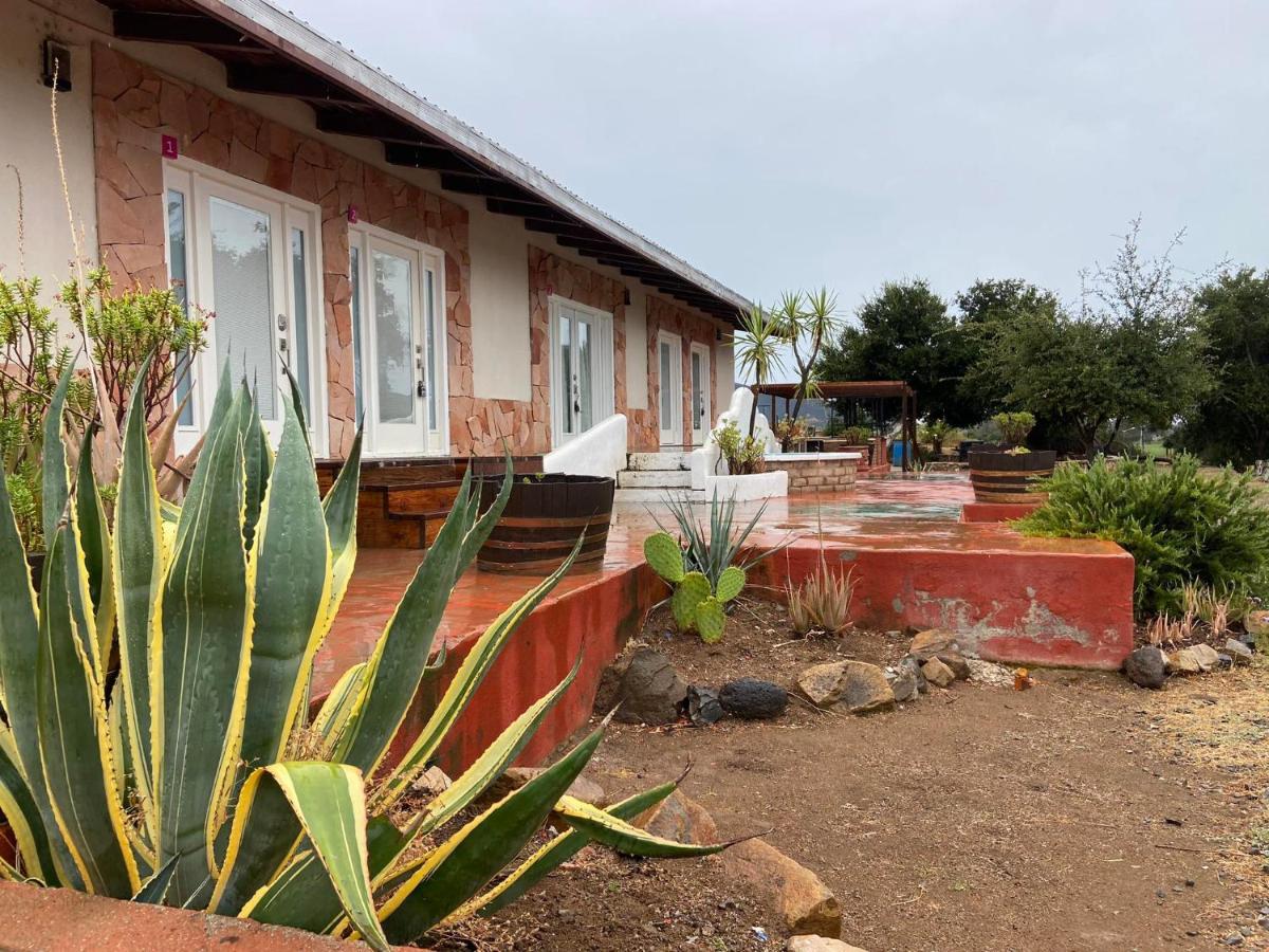 Kalanchoe Poshtel Suites Las Palmas  外观 照片