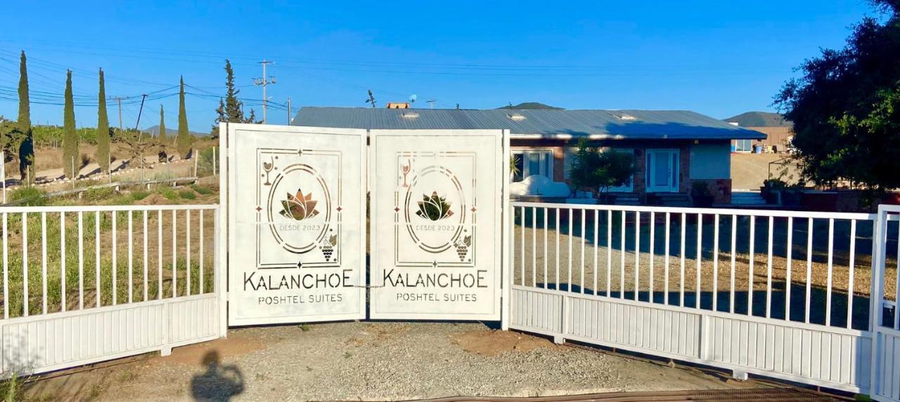 Kalanchoe Poshtel Suites Las Palmas  外观 照片