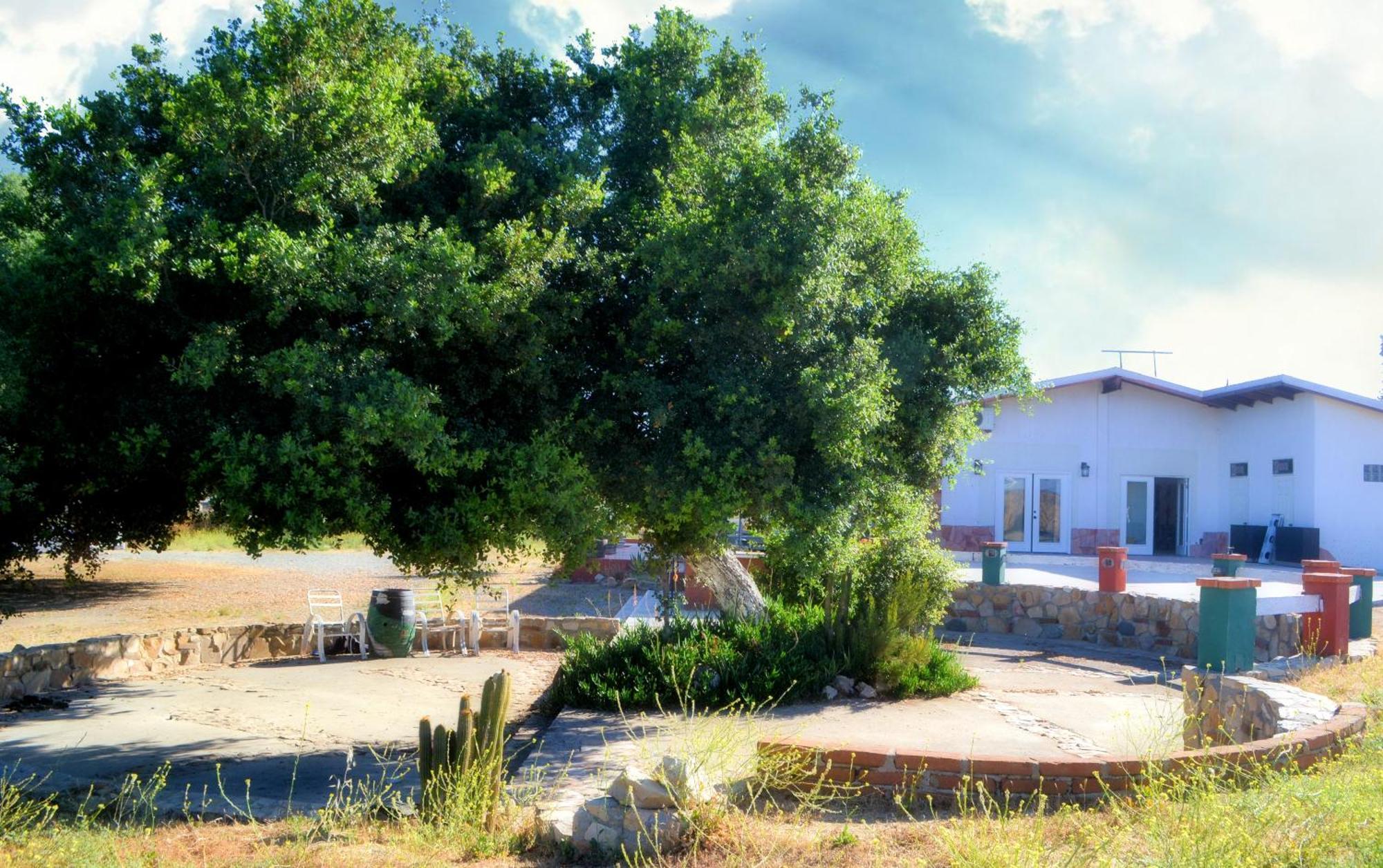 Kalanchoe Poshtel Suites Las Palmas  外观 照片