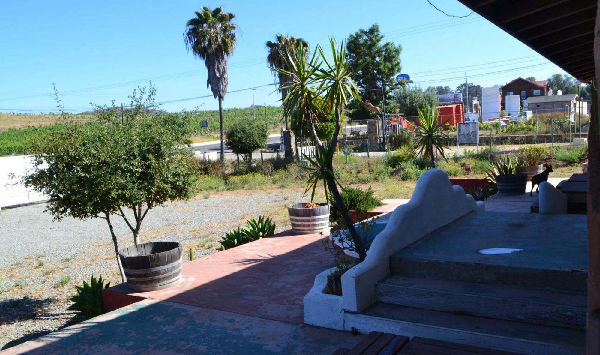 Kalanchoe Poshtel Suites Las Palmas  外观 照片
